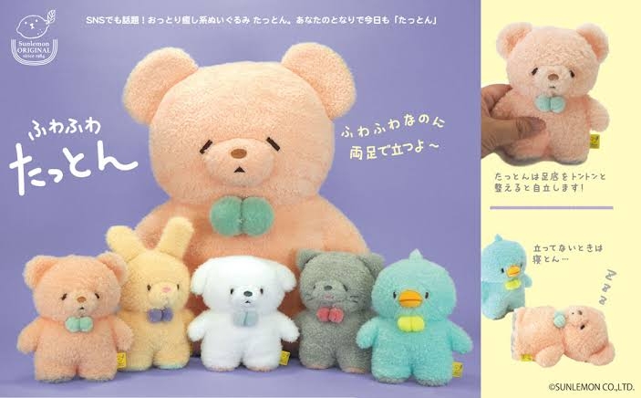 「世界で最もかわいい犬」日本で暮らす、まんまるのトイプードルが海外で人気