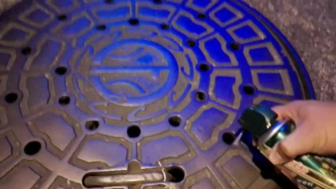 ネズミ大量発生、駆除要員をNY市が急募 年俸2300万円