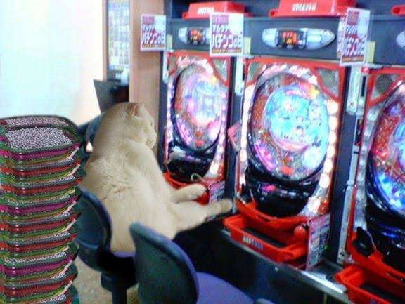 無断キャンセル、遅刻したことありますか？