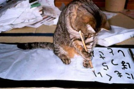 【スギちゃん雑談】2022ラストスパート！2023がやって来るぜぇ！🎅🎍🐰【part79】