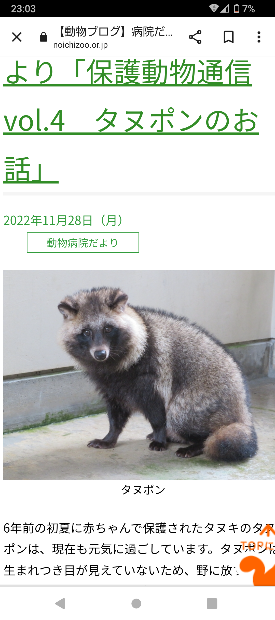 【スギちゃん雑談】2022ラストスパート！2023がやって来るぜぇ！🎅🎍🐰【part79】