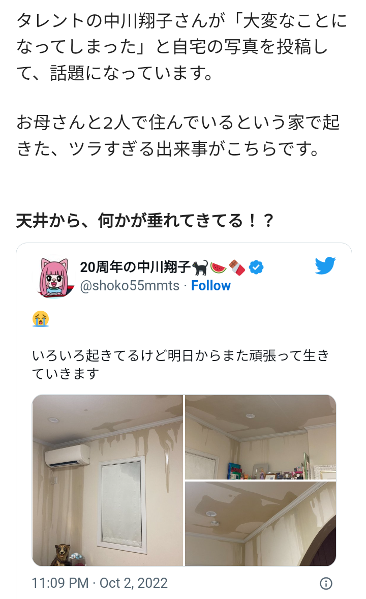 【緊急】賃貸の水漏れ【自分が上階で下の階に水漏れ】