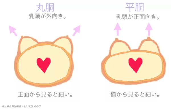 1つだけ自分の容姿を変えられるとしたらどこを変えますか？