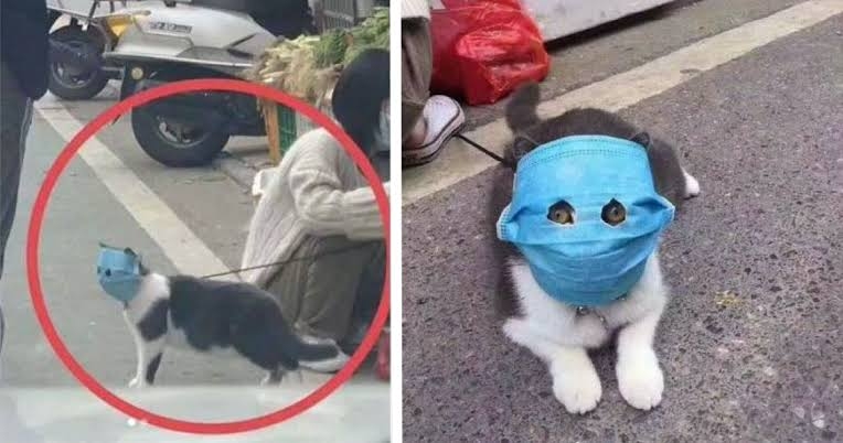 皆がもう忘れていそうなこと