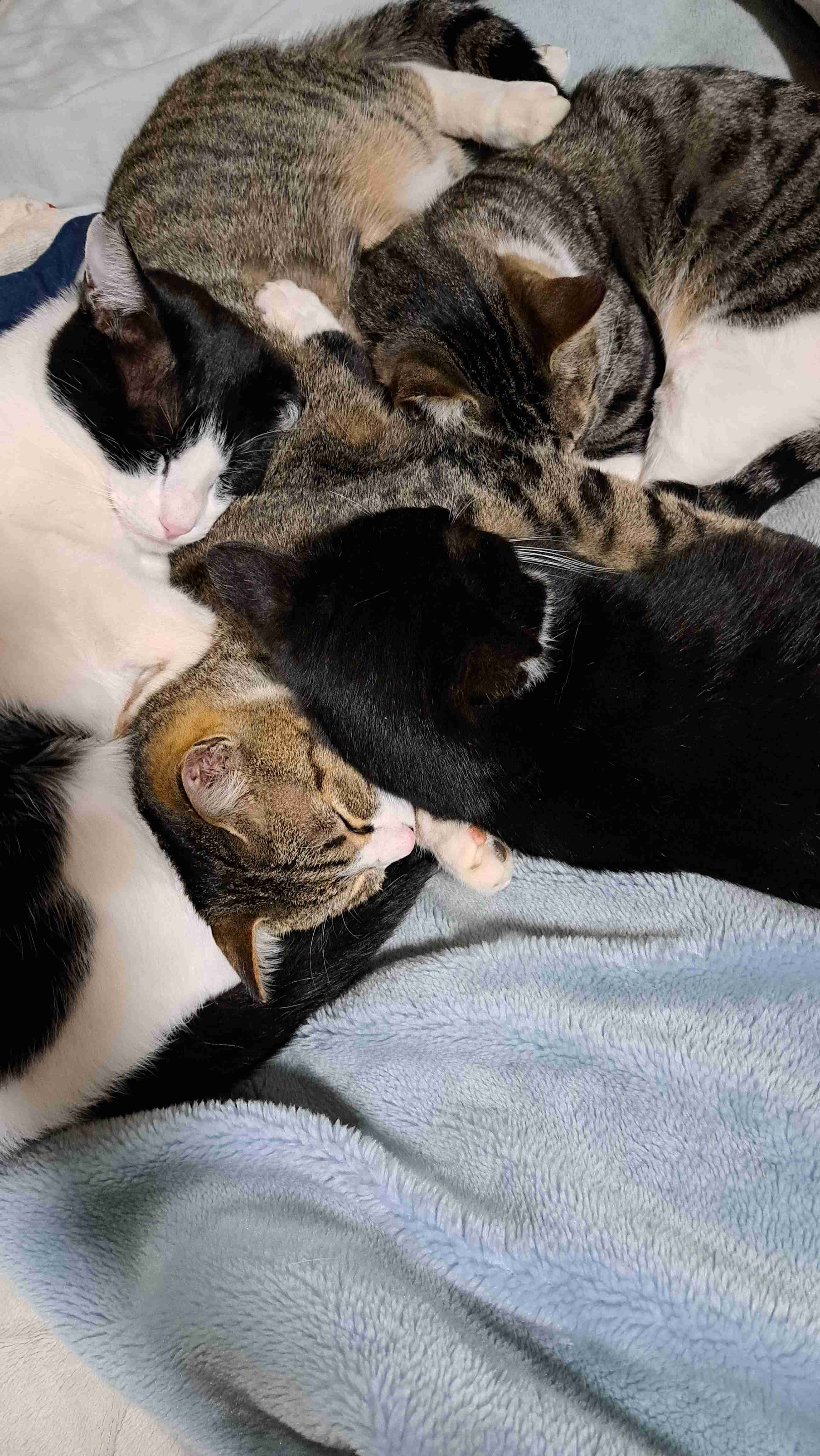 【ぼっち】土日の予定教えて～