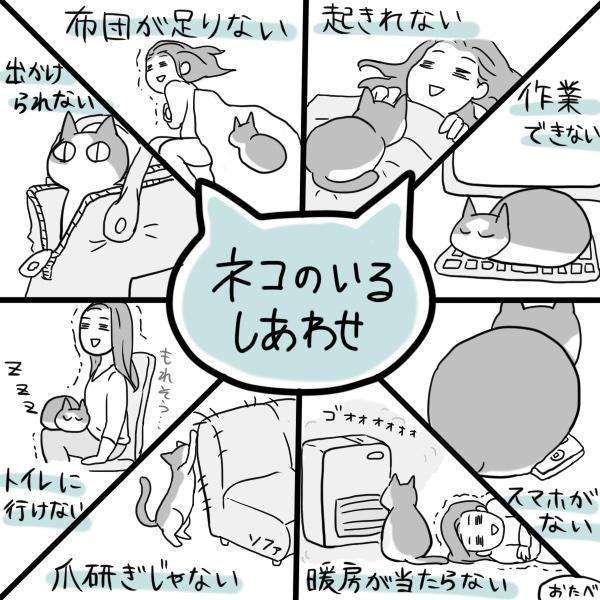 🐱愛猫家になったきっかけ
