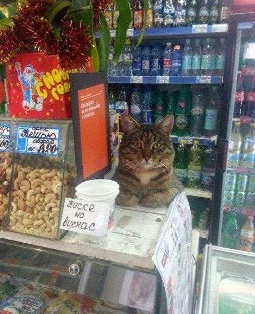 嫌な店員がいる店は必ず潰れる説