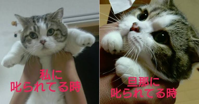 態度の差が凄いと感じた出来事