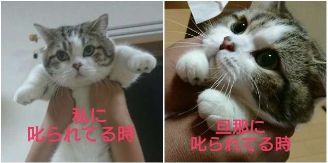 態度の差が凄いと感じた出来事
