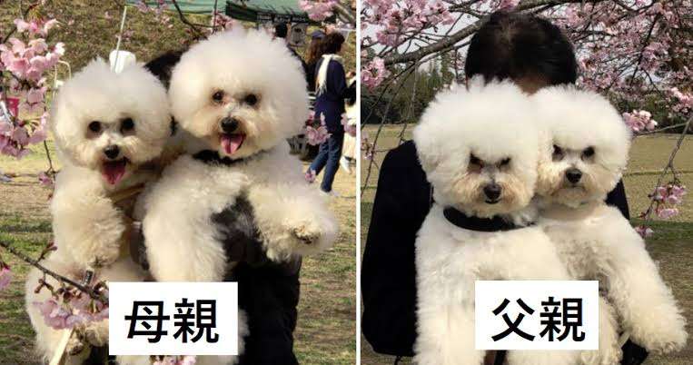 態度の差が凄いと感じた出来事