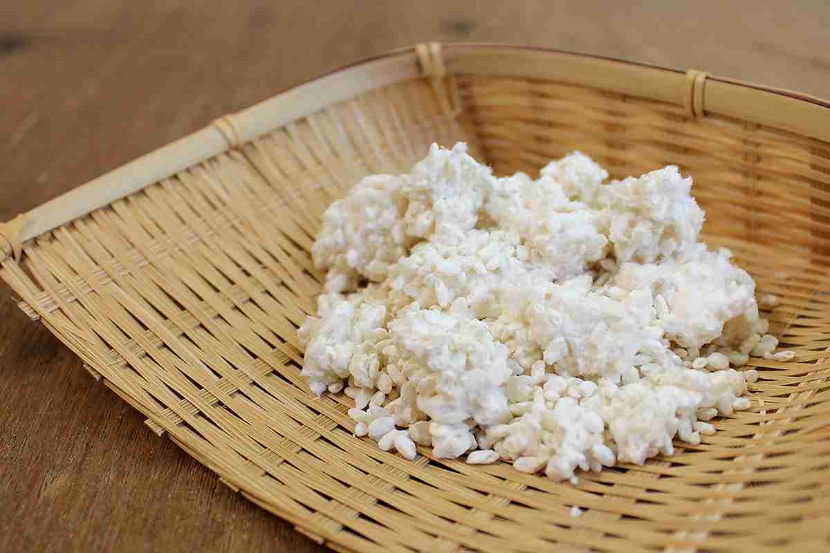 「麹」初心者が先輩に色々教えてもらうトピ