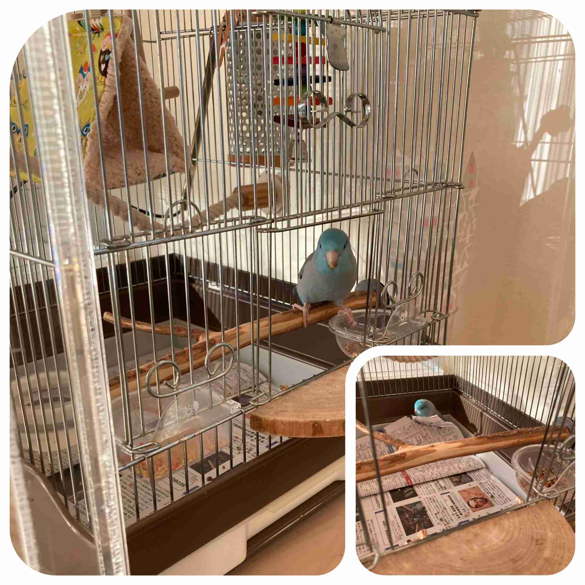 生活感溢れる写真☆Part23