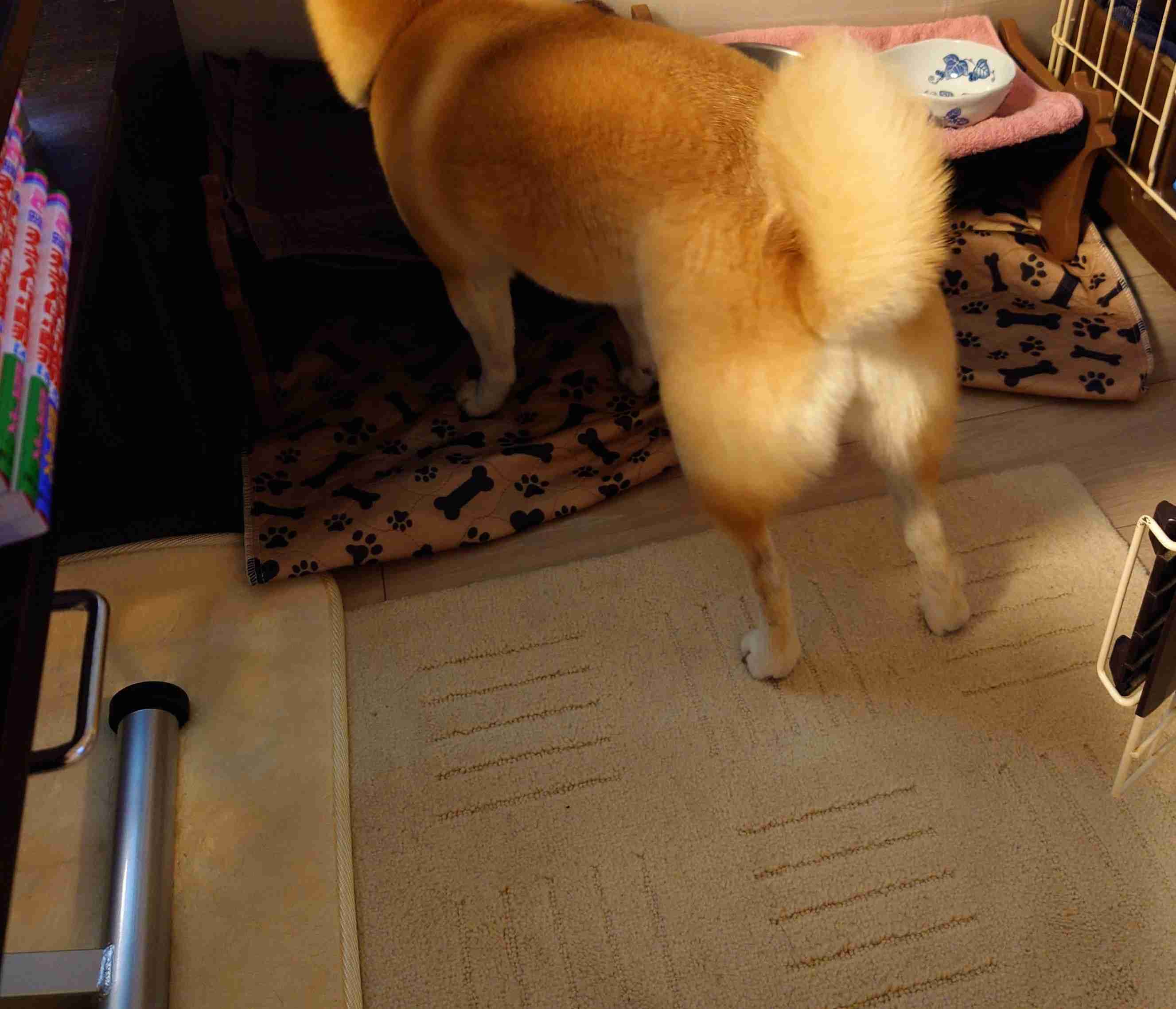 生活感溢れる写真☆Part23