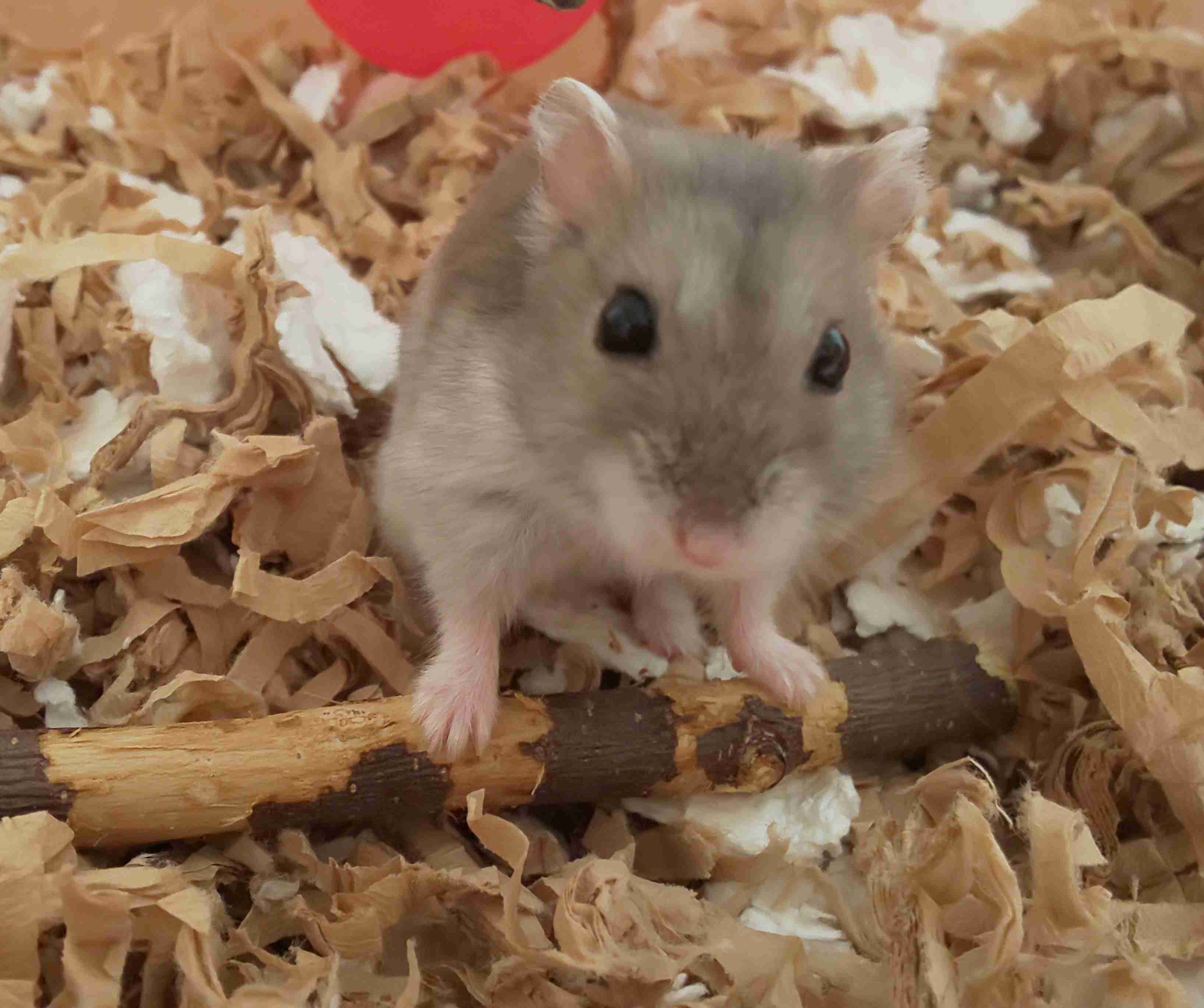 生活感溢れる写真☆Part23