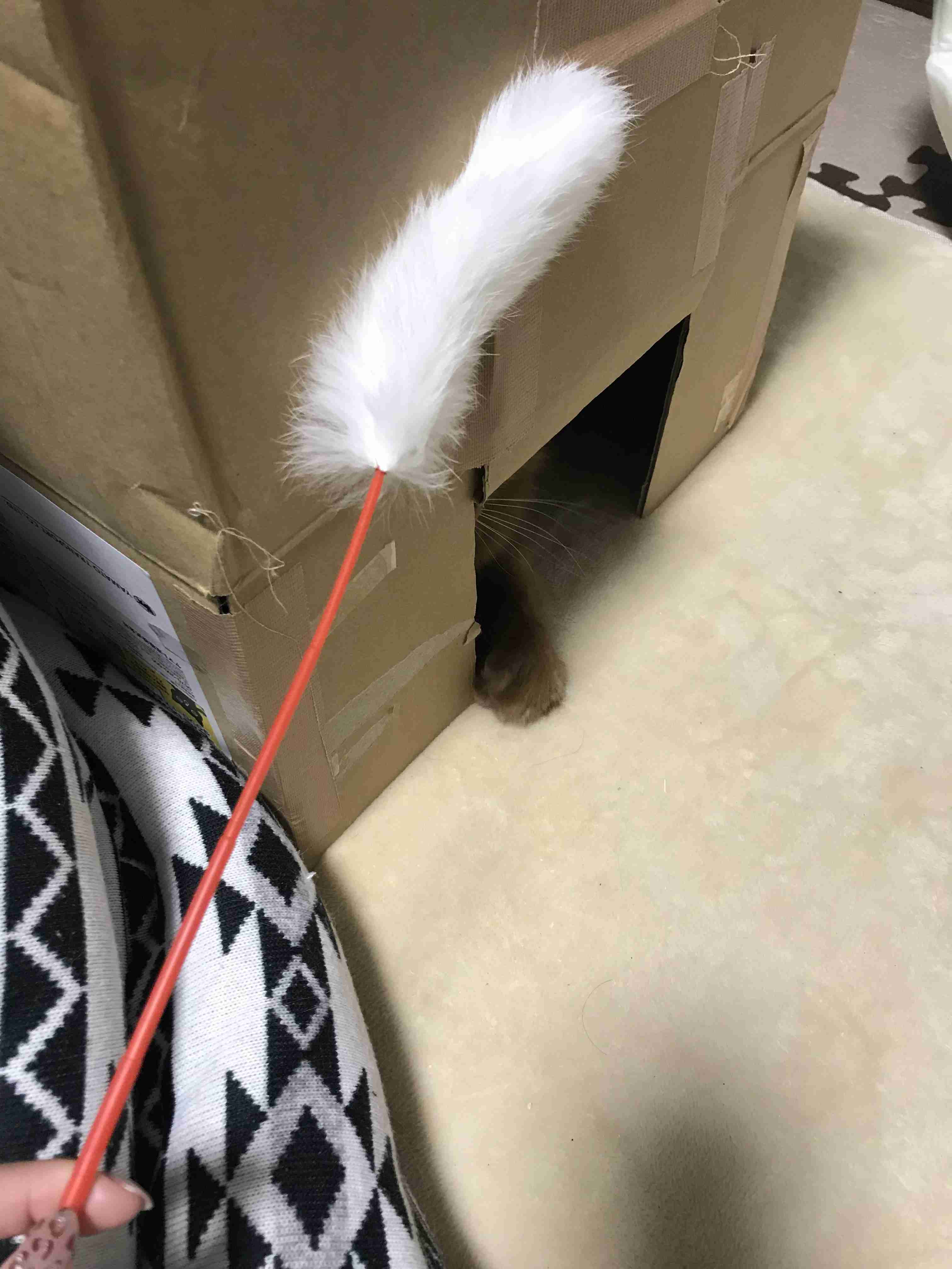 生活感溢れる写真☆Part23