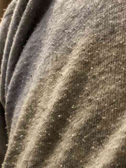 生活感溢れる写真☆Part23