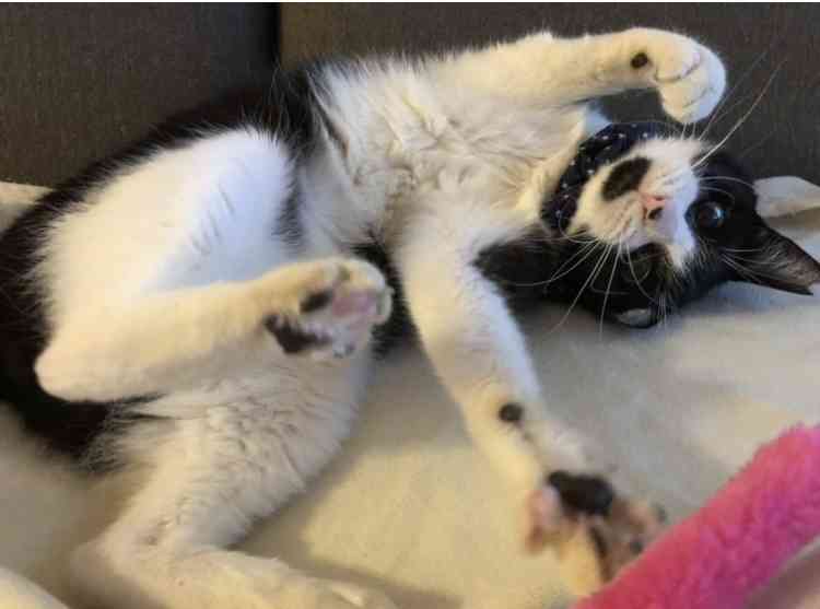 生活感溢れる写真☆Part23