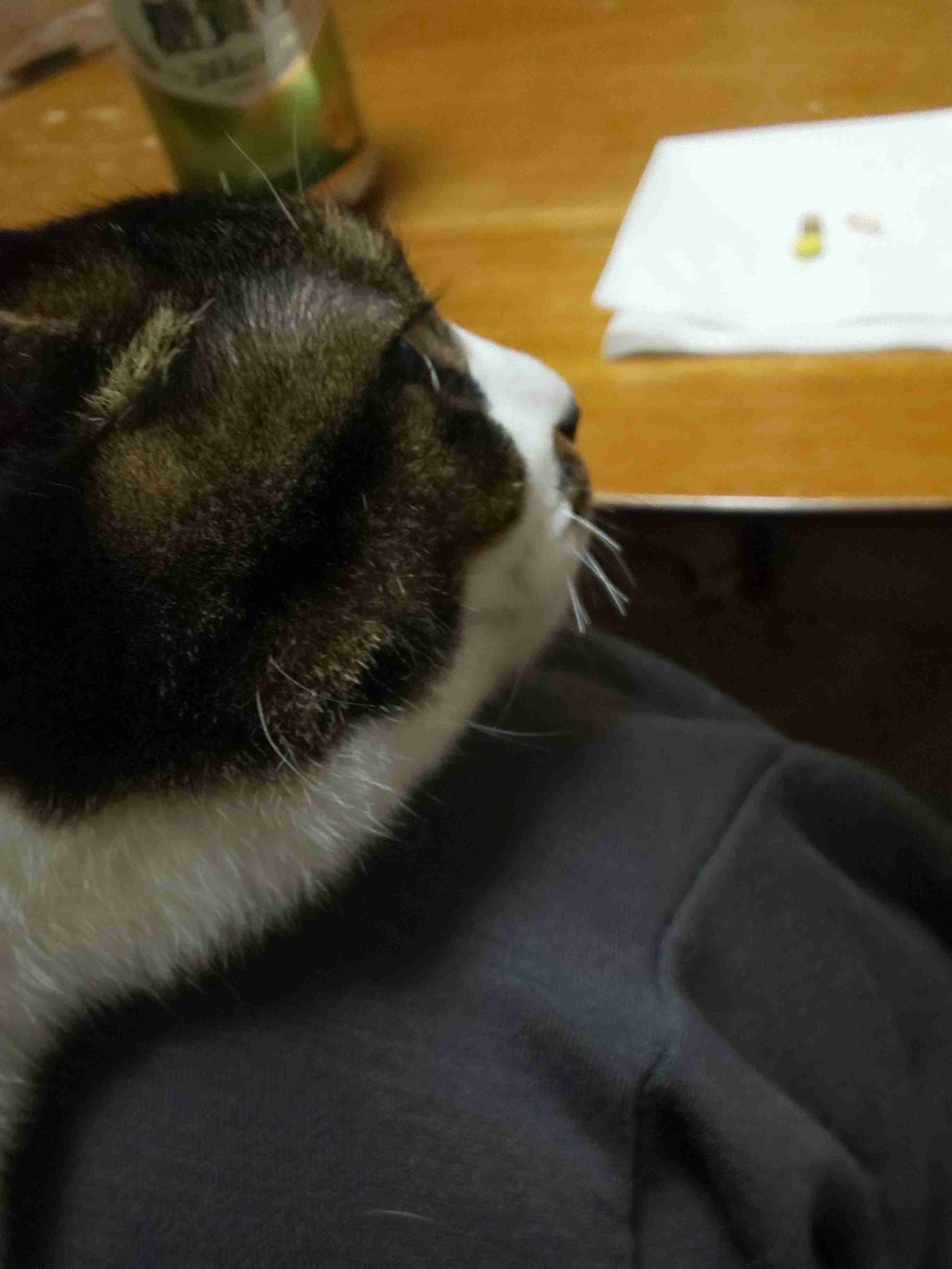 生活感溢れる写真☆Part23