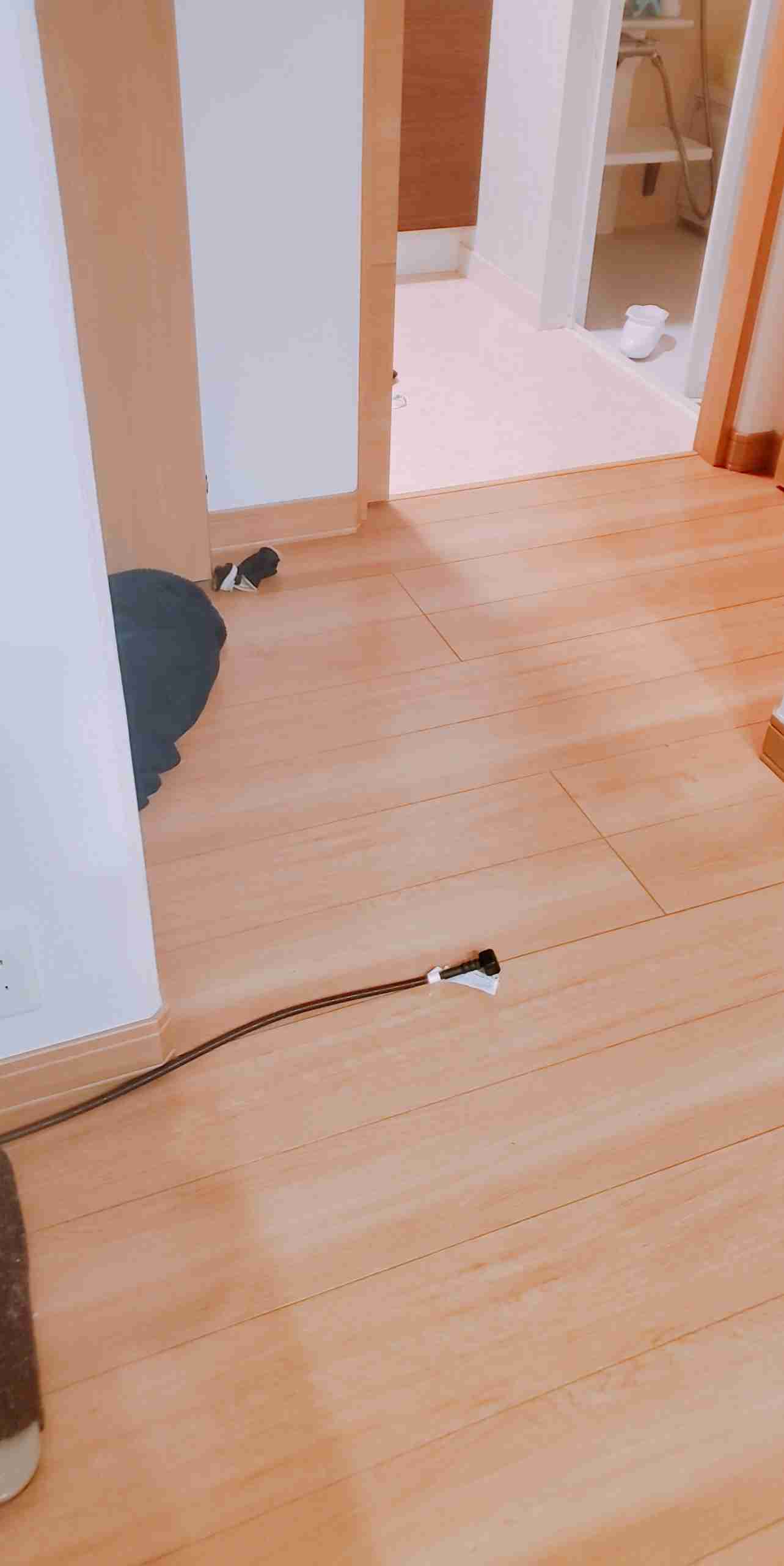 生活感溢れる写真☆Part23