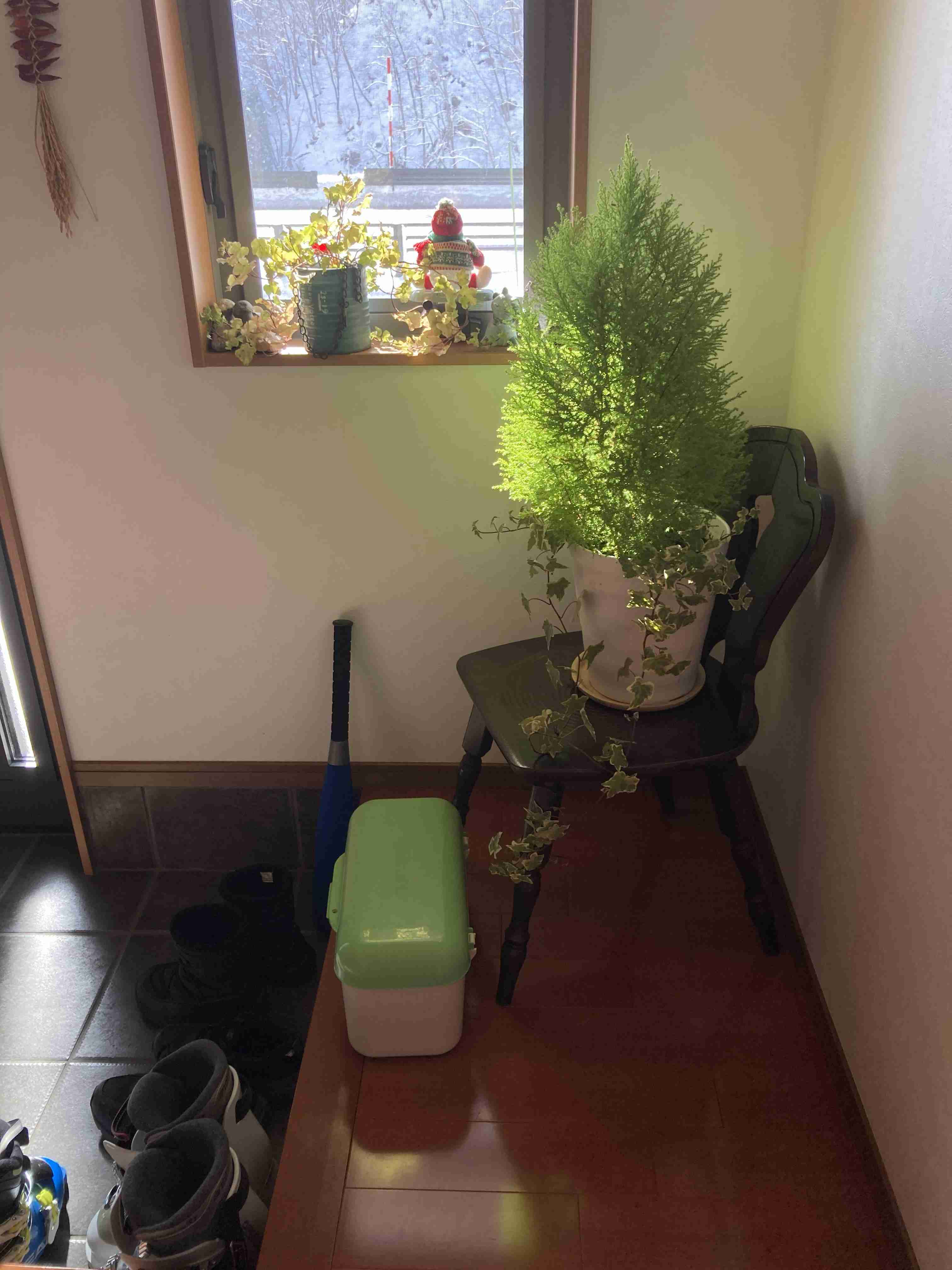 生活感溢れる写真☆Part23