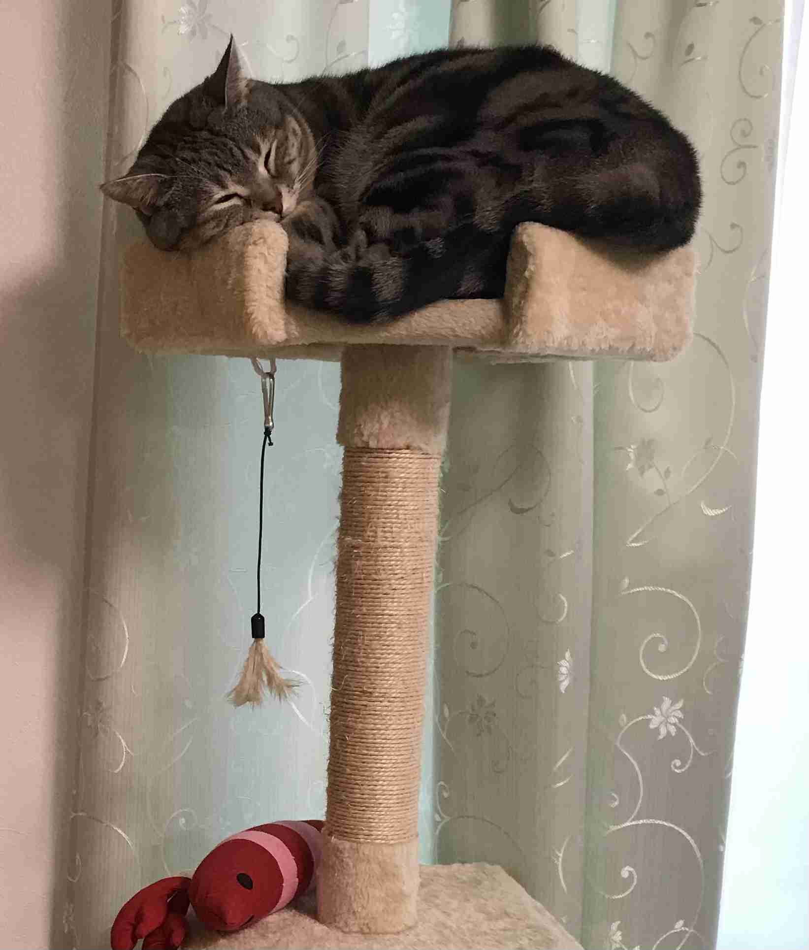 生活感溢れる写真☆Part23