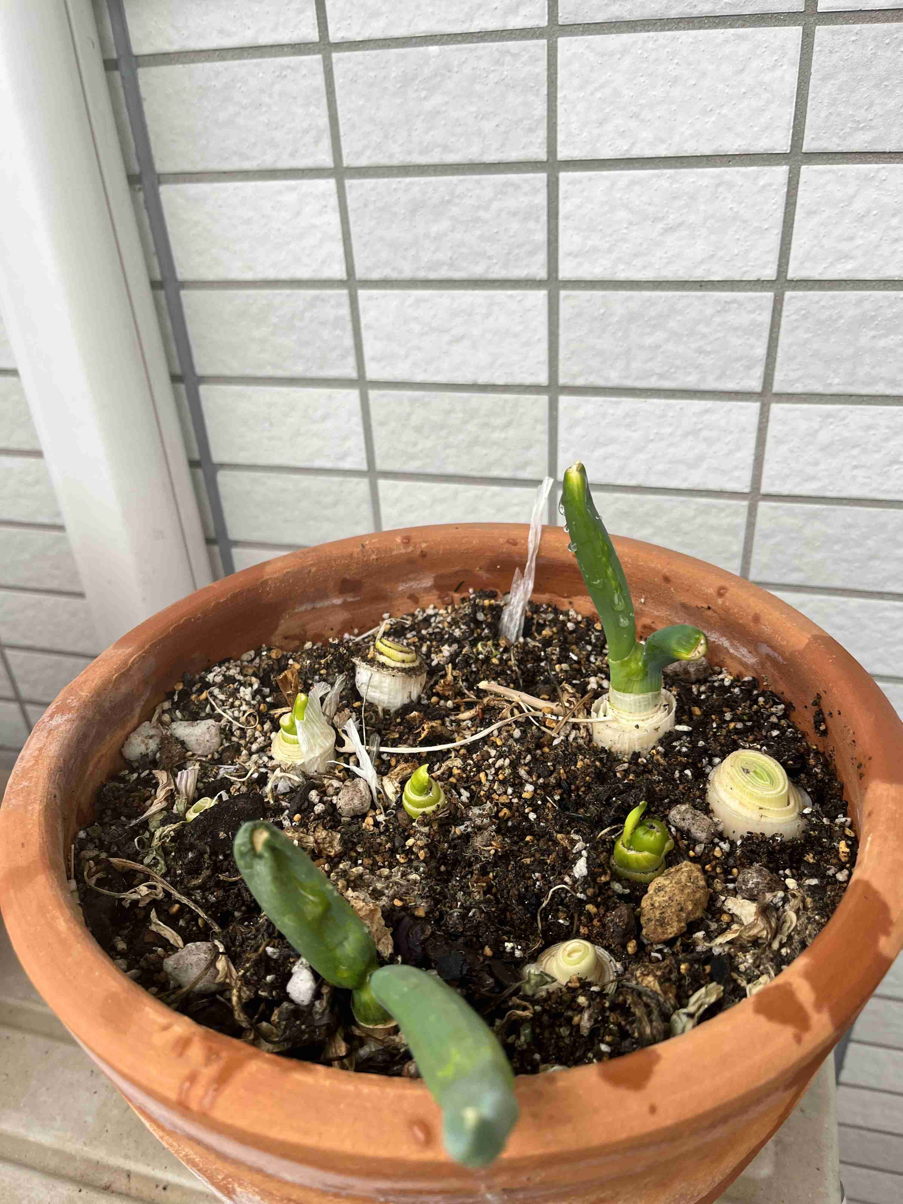 生活感溢れる写真☆Part23