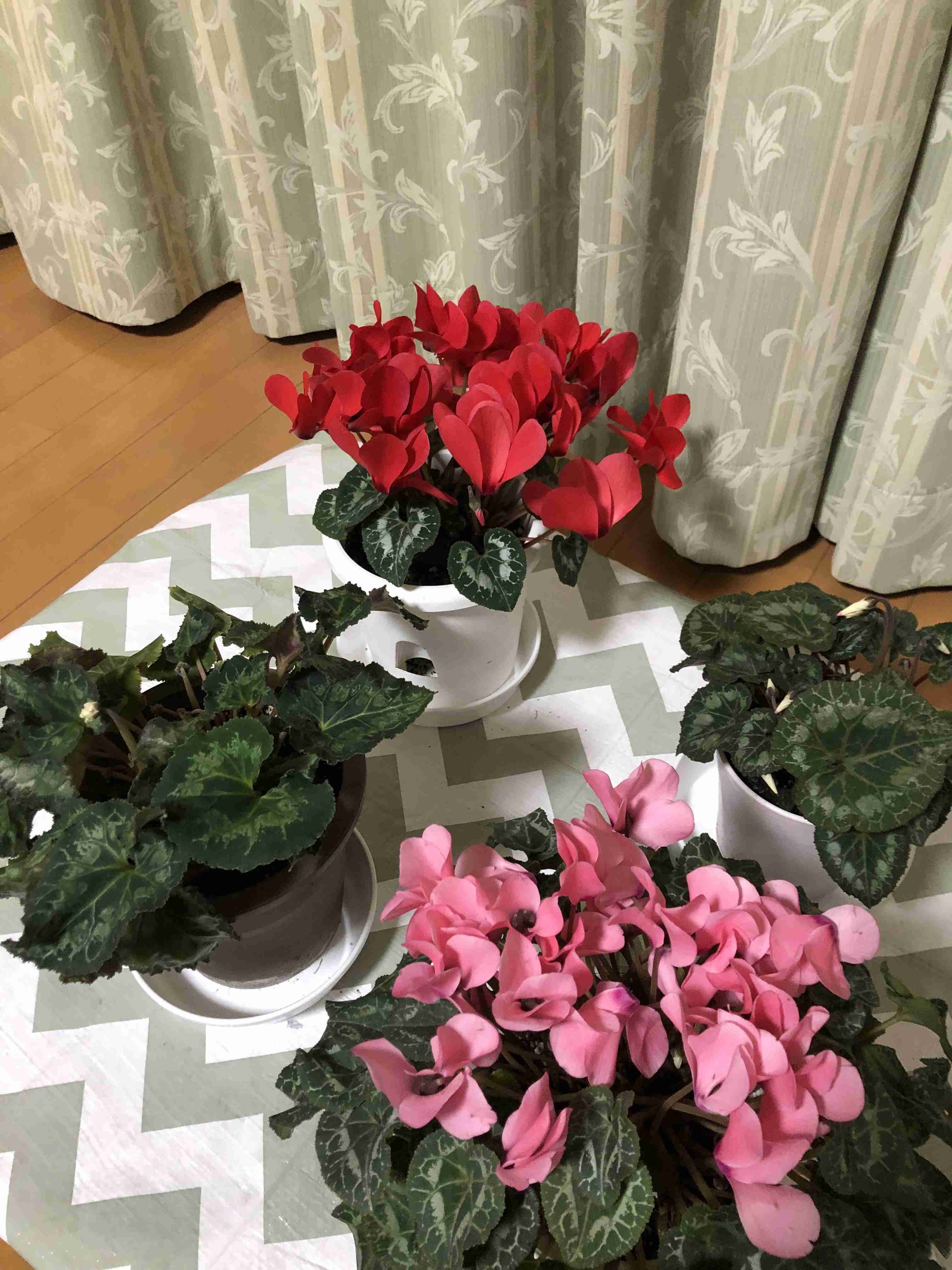 生活感溢れる写真☆Part23