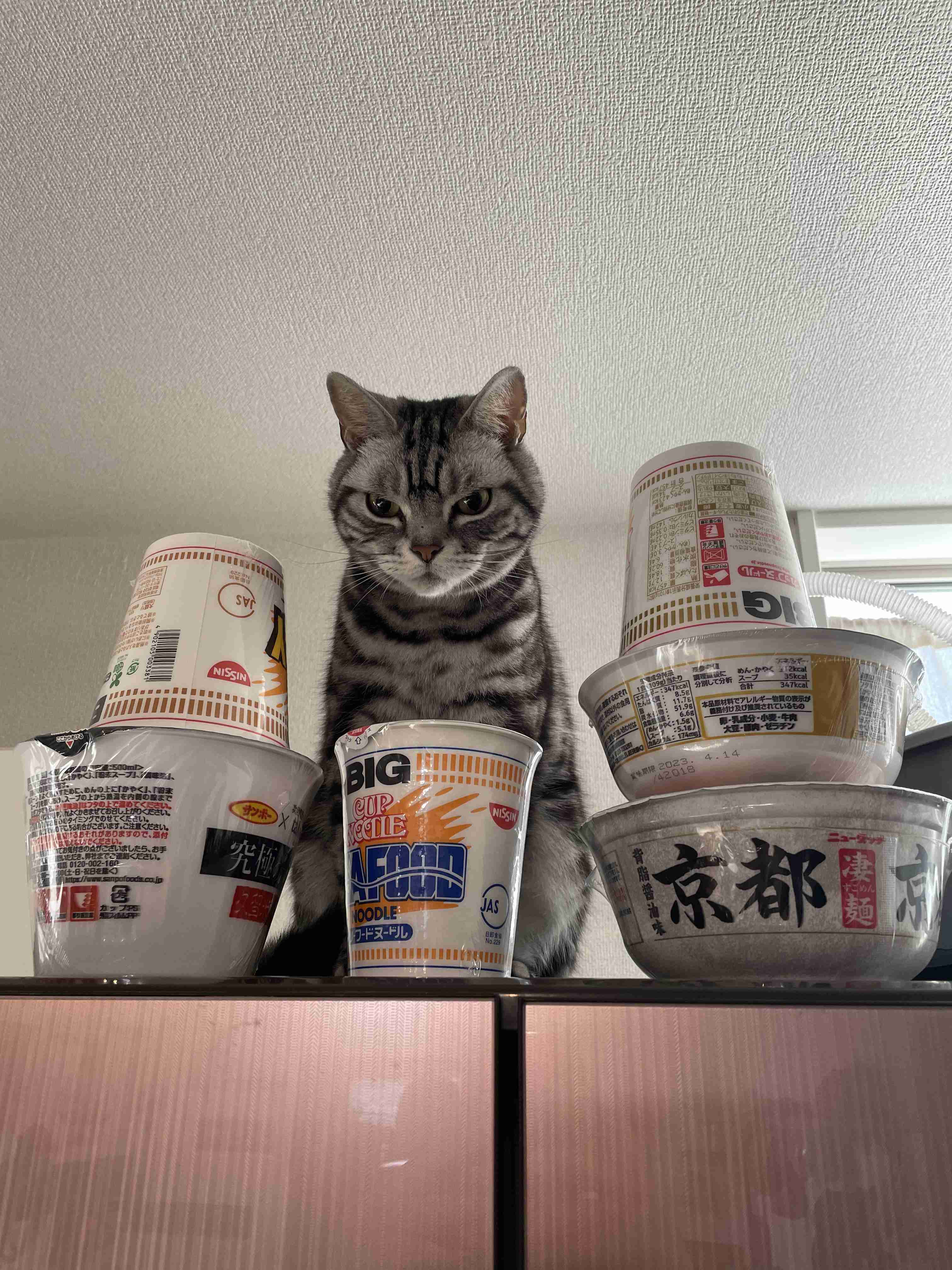 生活感溢れる写真☆Part23