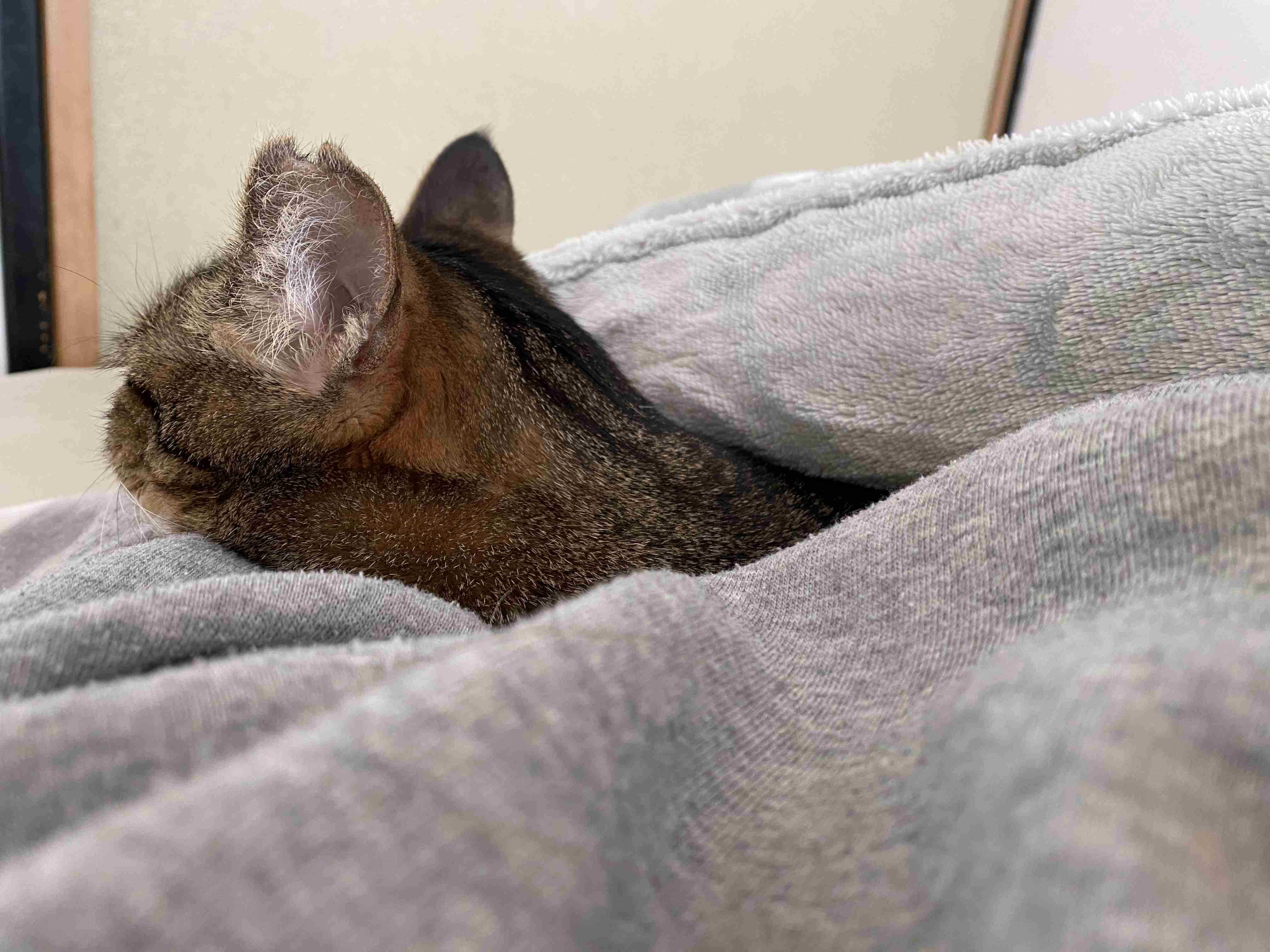 生活感溢れる写真☆Part23