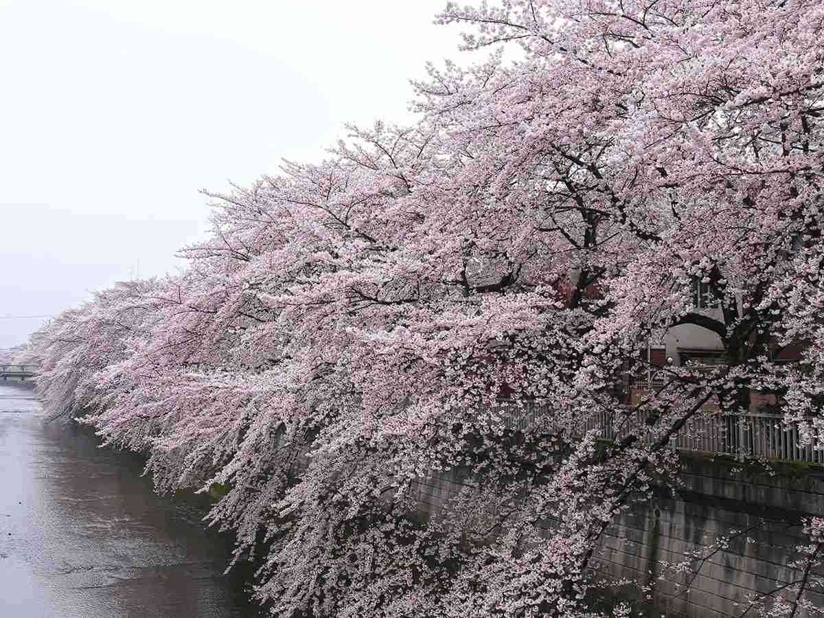 【東京で一人暮らし】おすすめの駅、街を教えて！