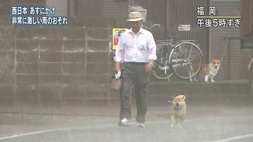 犬を飼うことを「ファッション」と勘違いしている人の特徴3選　安易に迎え入れるのは絶対NG
