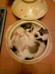 ❮他力❯食べたいものの画像が返ってくるトピpart３❮本願❯