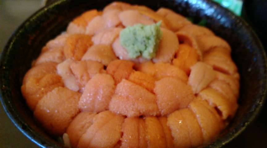 函館旅行おすすめ