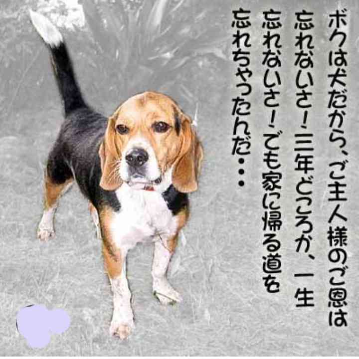 忘れた方が良いのになかなか忘れられないこと