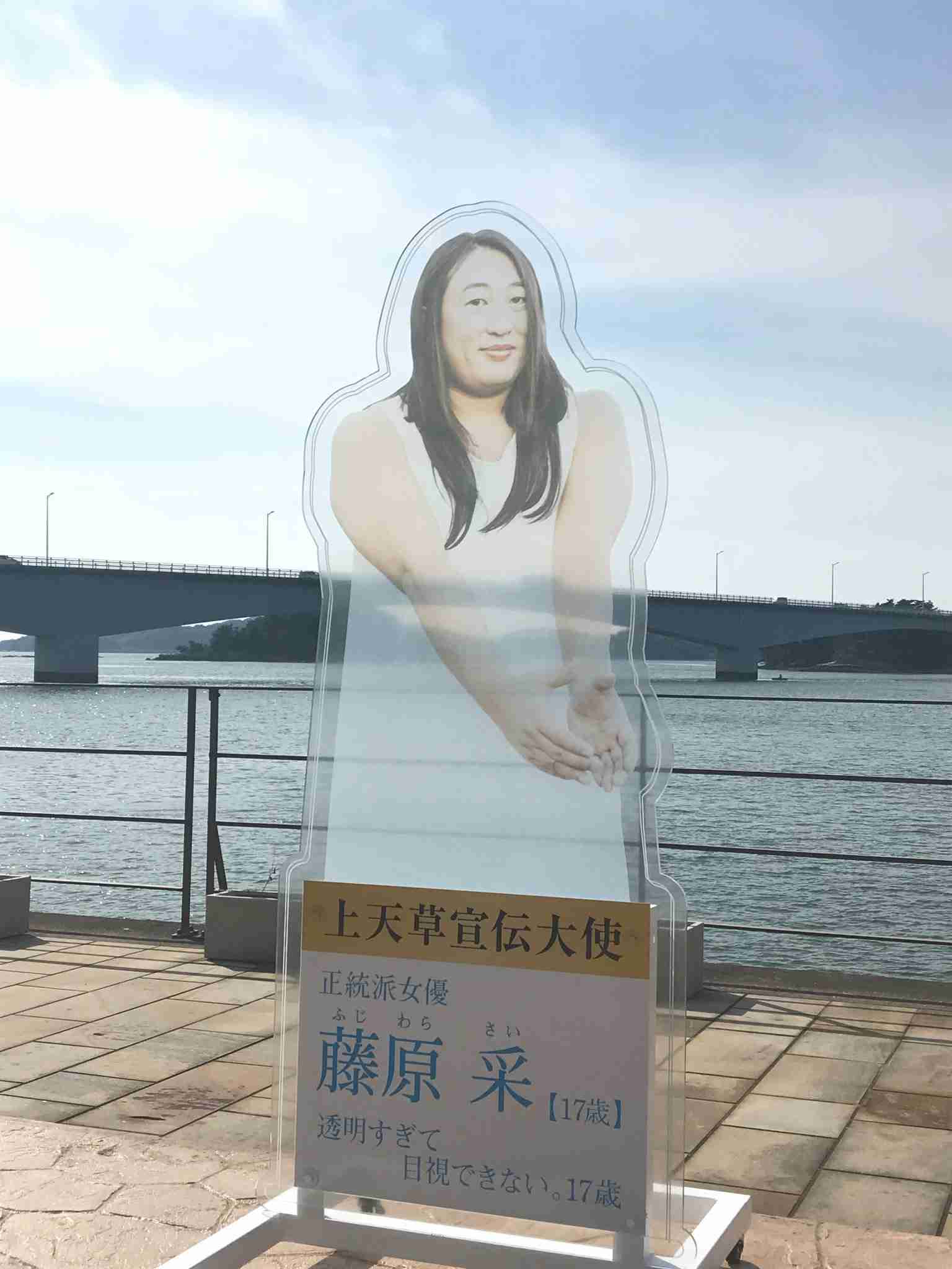 フォギー肌になれるファンデ・下地