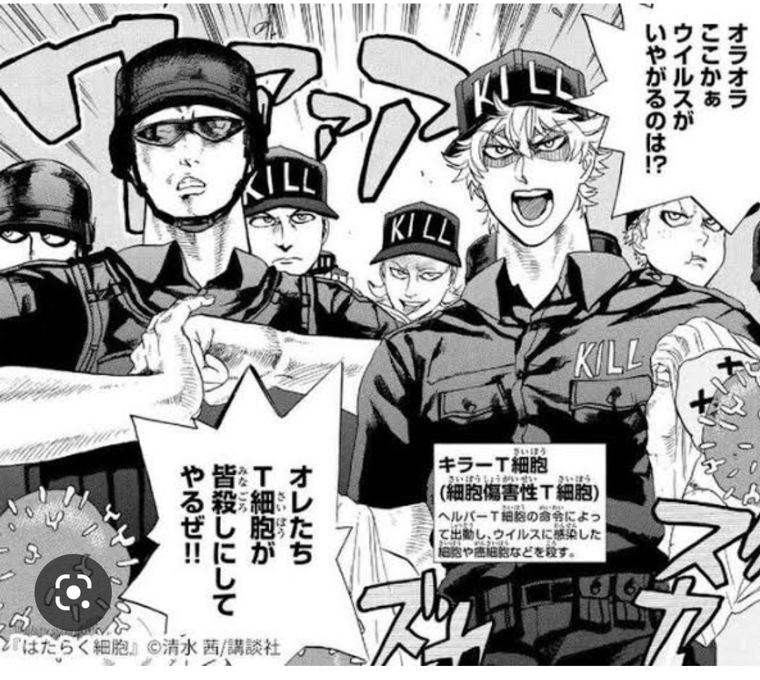 「ワクチン4回目以降のメリットわからない」感染症学の専門家が新型コロナ《国内感染から3年》をふり返る「コロナは変わった、社会システムは変えられていない」
