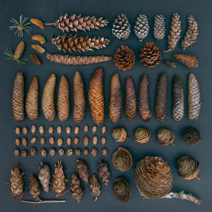 文豪風の口調で雑談するトピツクサロン【迎春】