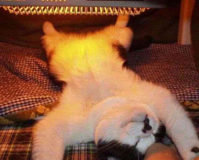 文豪風の口調で雑談するトピツクサロン【迎春】