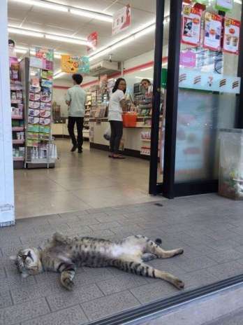 近所に入りづらいお店ありますか？