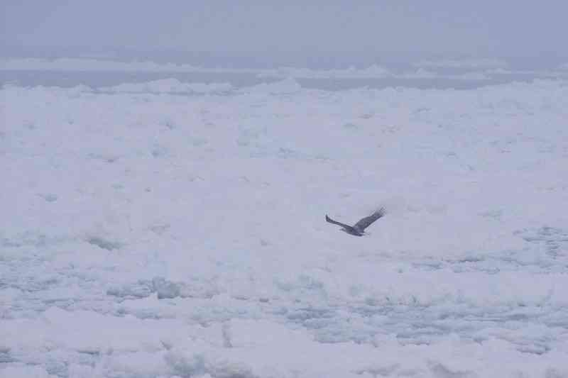🚄 旅行好きな人〜! ✈️