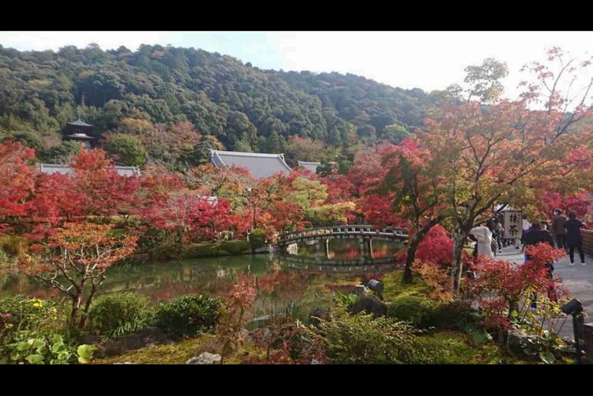 🚄 旅行好きな人〜! ✈️