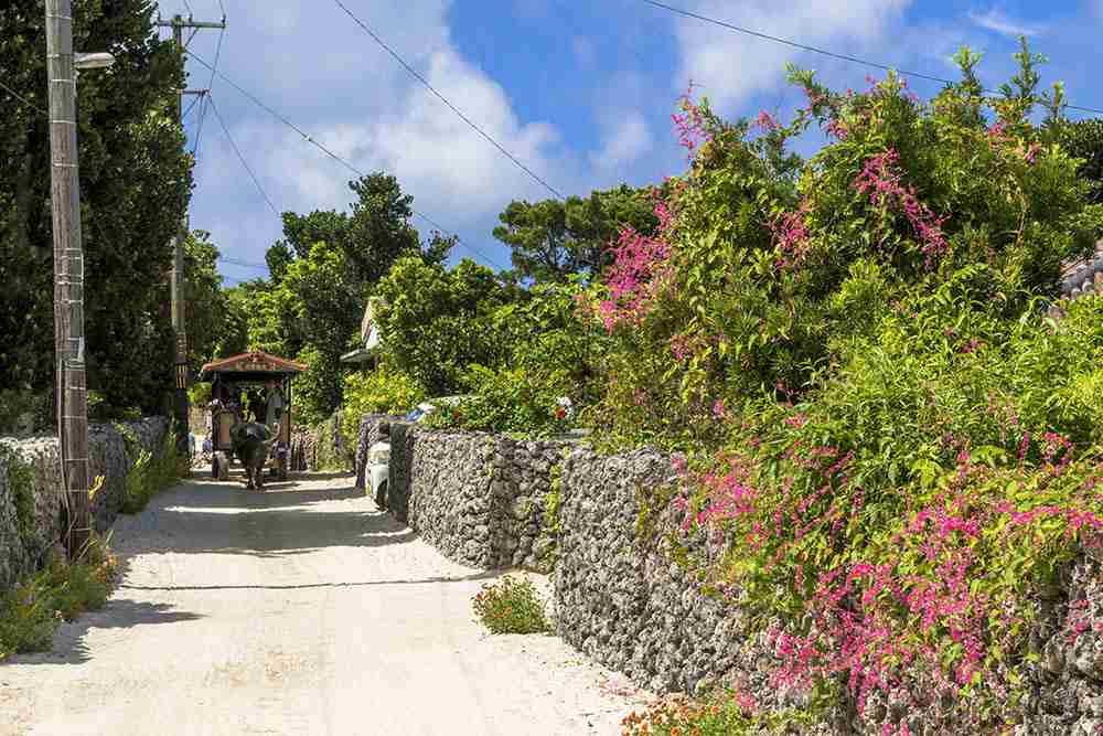 🚄 旅行好きな人〜! ✈️