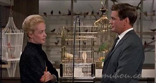 マイナーだけど素晴らしい映画が好きな人