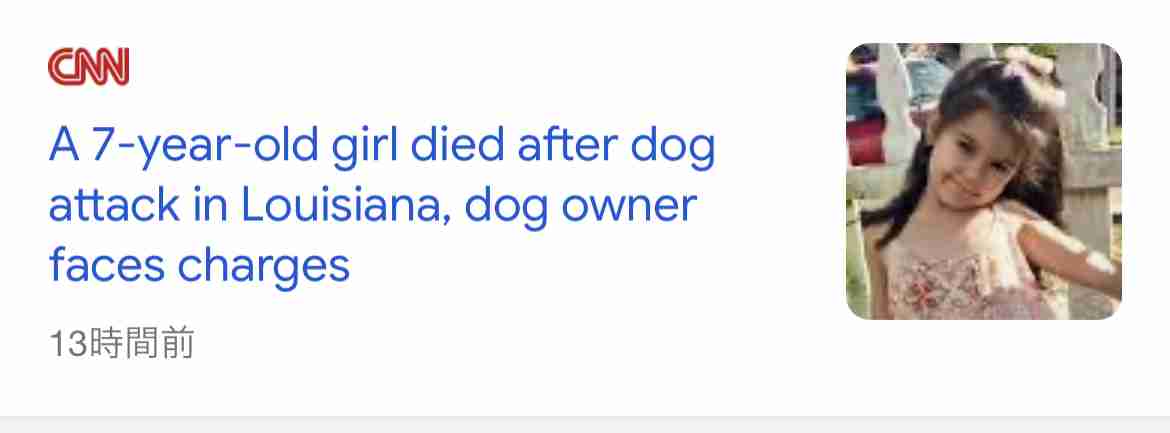 7歳女児が犬に襲われ死亡、飼い主を逮捕　米ルイジアナ州