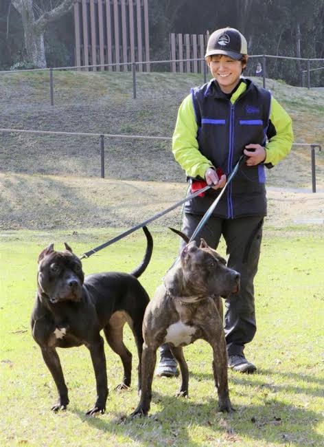 7歳女児が犬に襲われ死亡、飼い主を逮捕　米ルイジアナ州