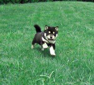 この人、考え甘いなーと思うことpart2