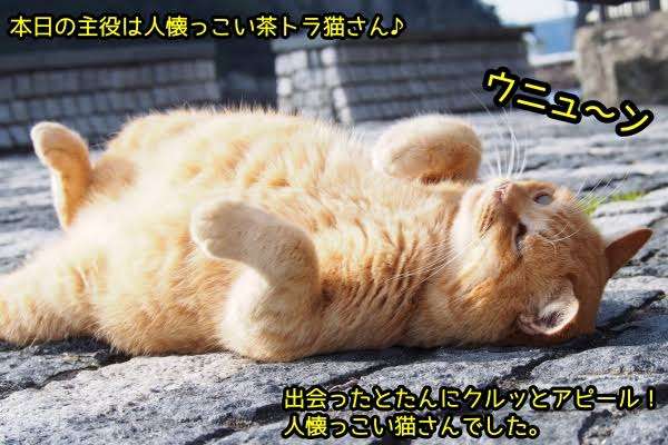 【仕事】子供がインフルになったら