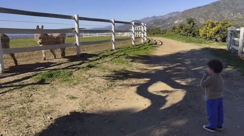 ヘンリー王子「父と兄を取り戻したい」の真意　本当の「敵」は英王室そのものか？