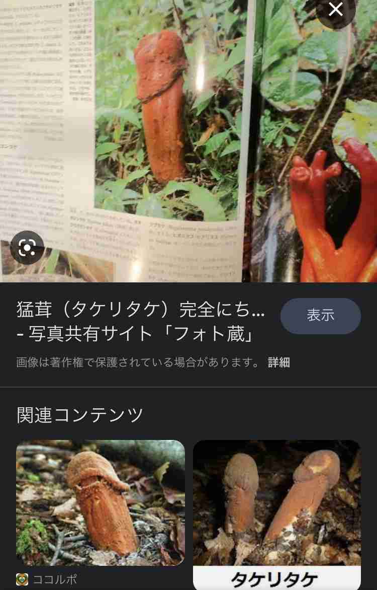【微アダルト】エロくないのに、見える人にはそう見えちゃう画像