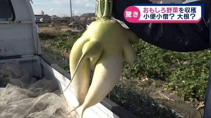 【微アダルト】エロくないのに、見える人にはそう見えちゃう画像